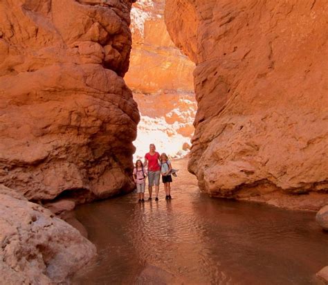 The Ultimate Guide To The Best Day Hikes In Utah National Parks Duoveo