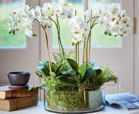 Bloom Orchid Fern Garden Arrangement Artificial Flower Artificial