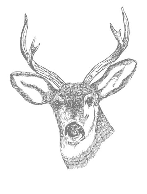 Free Deer Silhouette Tattoo Download Free Deer Silhouette Tattoo Png