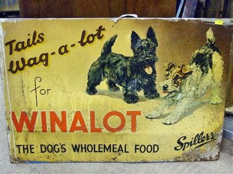 Fox Terrier Terriers Vintage Dog Vintage Signs Wire Haired Terrier