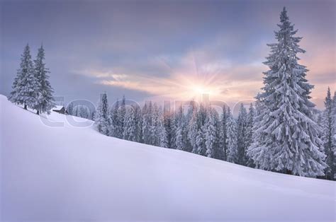Beautiful Winter Landscape In The Mountains Sunset Stock Photo