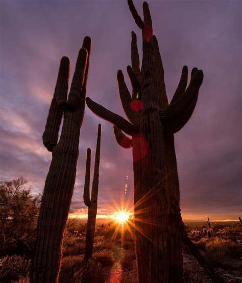 First Scottsdale Sunset Of 2017 Scottsdale Arizona Arizona Sunset