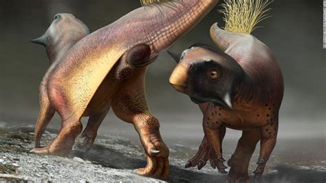 Este Fósil Revela Cómo Los Dinosaurios Orinan Defecan Y Tienen