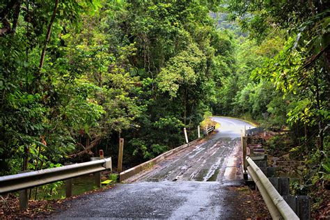 Guide To Visiting Australias Daintree Rainforest Incl Cape Tribulation