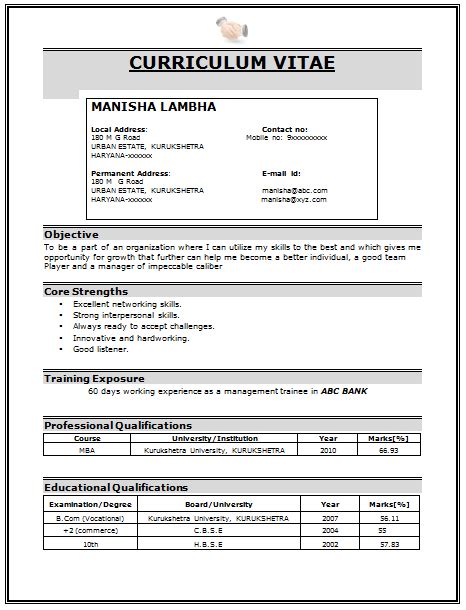 Give an overview of the organization you interned at. Professional Curriculum Vitae Sample Template of a Fresher ...