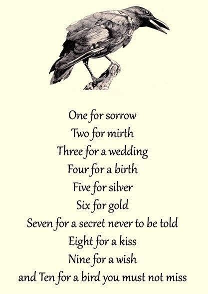 Counting Crows Poem One For Sorrow Poem Quotes Writing