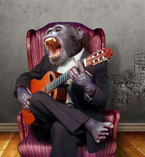 Monkey Musician Monkeys Funny Happy Birthday Birthday Humor