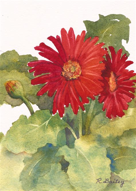 Gerbera Daisy Watercolor At Getdrawings Free Download