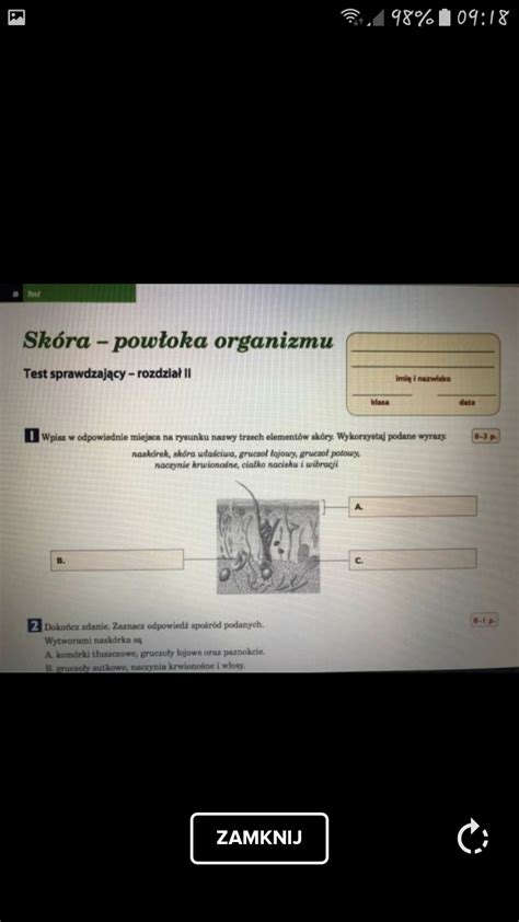 Skóra powłoka organizmu BIOLOGIA - Zapytaj.onet.pl