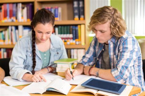 College Students Doing Homework In Library Stock Image Image Of