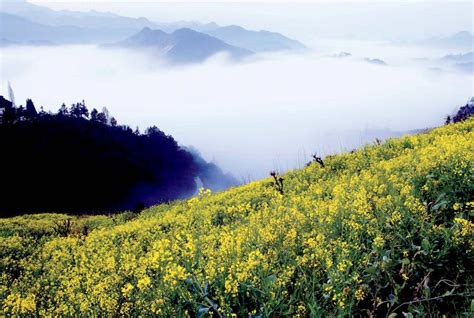 Wuyuan The Most Beautiful Countryside In China