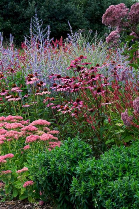 My Favorite Plant Combinations 48 My Favorite Plant Combinations 48