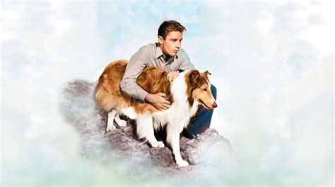 son of lassie full movie movies anywhere