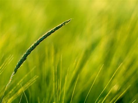A simple nature landscape vector free download. Le Mien