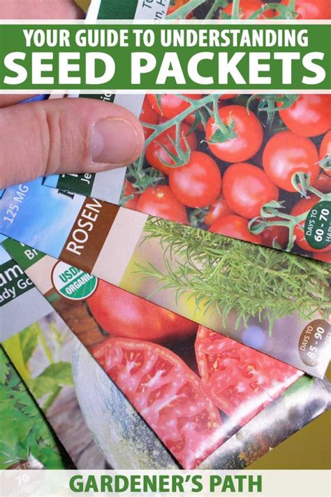 How To Read Seed Packets For Planting Success Gardeners Path