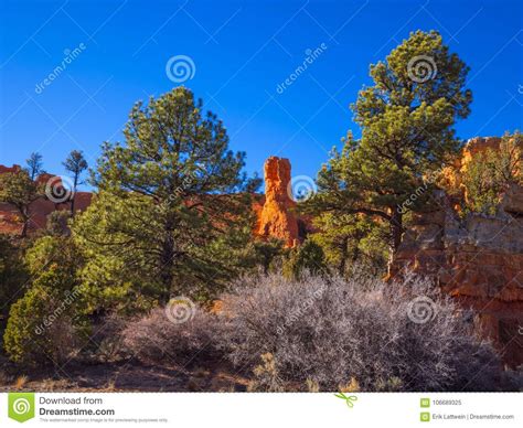 The Colorful Rocks Of Red Canyon In Utah Stock Image Image Of Cliff
