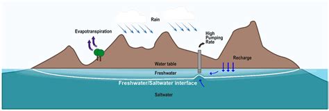 Water Free Full Text Saltwater Intrusion And Freshwater Storage In