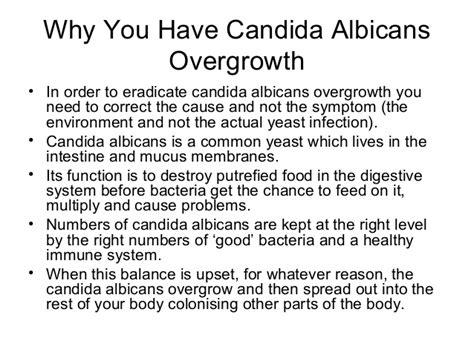 Candida Albicans Symptoms On Skin Yeast Infection And Candida Albicans
