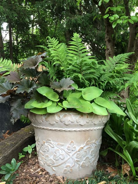Pin By Julia C On Hort And Home Garden Outdoor Planters Hosta Gardens