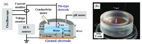 Pin To Liquid Dielectric Barrier Discharge Dbd System A Schematic
