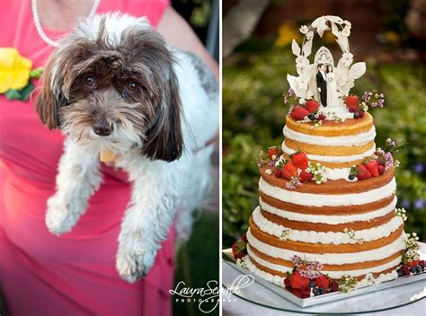 We work hard to keep up to date with all breed relevant health screening to. Puppies make the cutest wedding guests. | Scottsdale ...