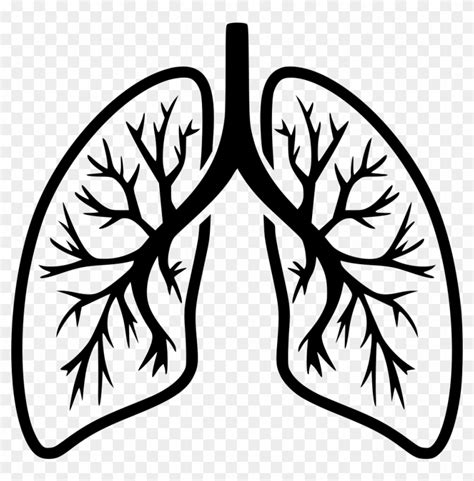 Png File Svg Lungs Clip Art Black And White Transparent Png