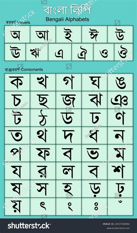 벵골어 알파벳이나 방글라 알파벳은 벵골어 언어를 스톡 일러스트 2037354902 Shutterstock