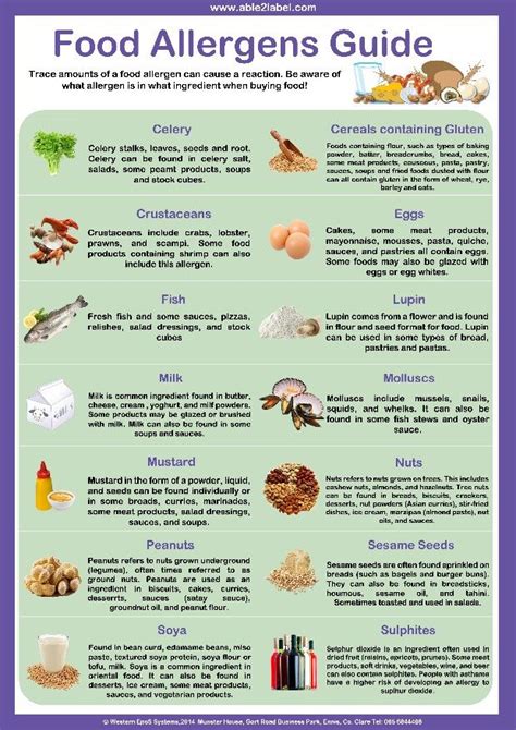 14 Allegens Food Allergens Bread Crumbs Allergies Chart How To