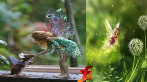 Top 5 Real Fairies Caught On Camera And Spotted In Real Life Evidence