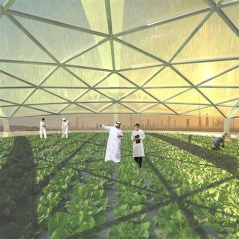 Vertical Farming With Seawater