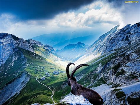 Tapety Zdjęcia Góry Alpy Urneńskie Szwajcaria Dolina Kozioł