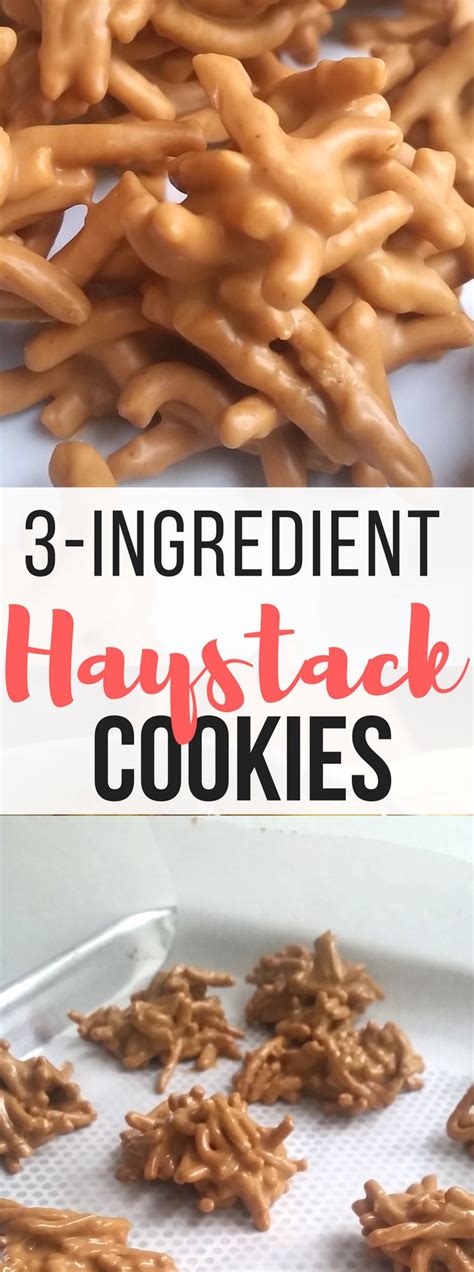 The cookies were crunchy on the outside, soft on the inside and a hit with the whole family! 3-Ingredient No-Bake Haystack Cookies | Recipe | Haystack ...