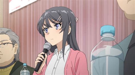 Story Rascal Does Not Dream Of Bunny Girl Senpai