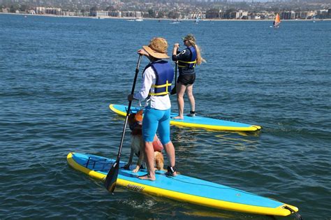 Stand Up Paddle Board Rental Mission Bay Stand Up Paddle Paddle