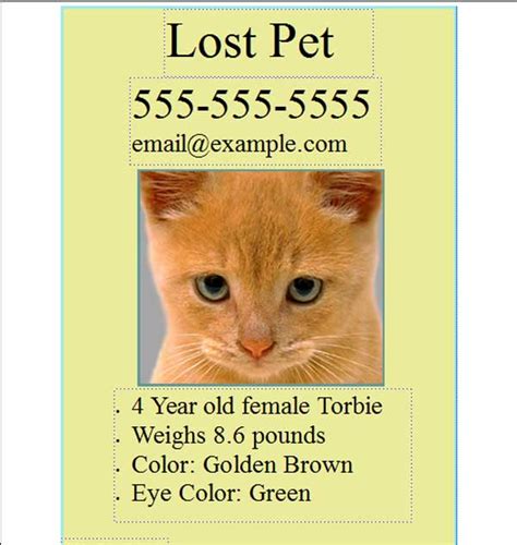 Use our free lost dog flyers or missing pet posters to find your cat or dog. Lost Pet Template | Template Business
