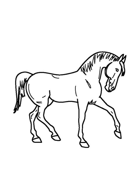 Paarden kleurplaten om online verf. paard-kleurplaat | knutselpagina | Pinterest