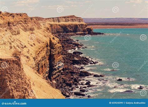 Argentina Coast Stock Image Image Of Leon Monte Patagonia 65924399