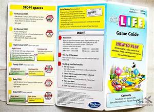The New Game Of Life By Hasbro With Instructions