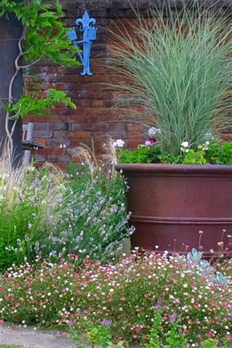 This low maintenance plant requires. The best plants for amazingly low maintenance garden pots ...