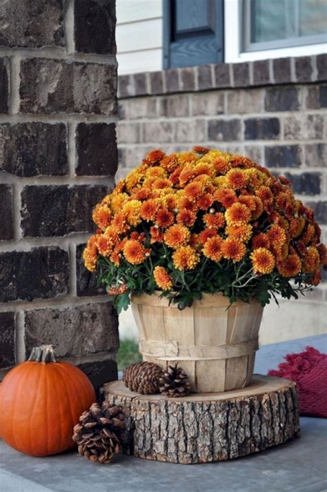 30 Creative Diy Decor Ideas To Welcome Autumn That Looks Cool Fall