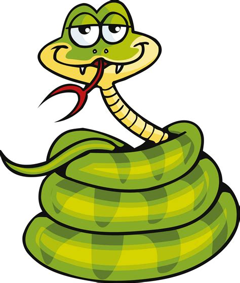 Different Types Of Snakes Images Clipart