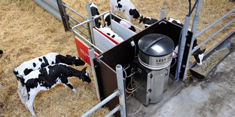 Lely Dairy Products Automatic Calf Feeders