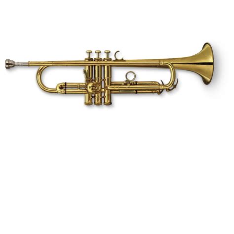 Pwang Trumpets B Trumpet Instrument Brass Instrument Beginner Playing
