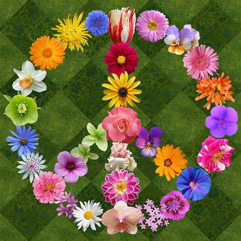 Peace Sign Flowers Digital Art By Susan Ragsdale