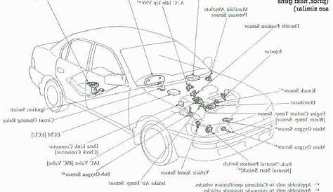 2008 Toyota Corolla Parts Catalog
