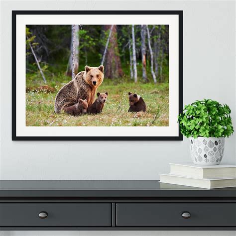 Brown Mother Bear Protecting Her Cubs Framed Print Canvas Art Rocks