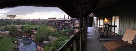 Russia's furriest political forecasters have meticulously calculated their predictions for the us presidential election using. Animal Kingdom Lodge Presidential Suite - Photo 17 of 17