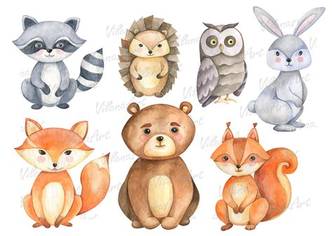 Forest Animals Clipart Woodland Clip Art Watercolor Png By Vilenaart
