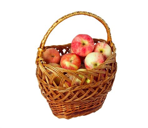 Basket Of Apples Stock Photo Image Of Abundance Apple 21595708
