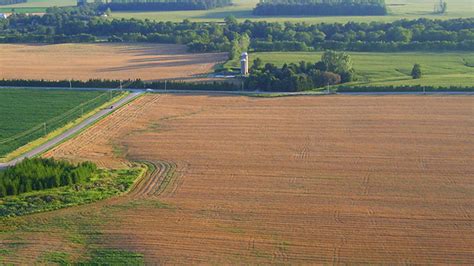 The magazine of Grain Farmers of Ontario - Ontario Grain Farmer